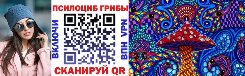 сайты даркнета наркотические препараты  Ленинградская  Псилоцибиновые грибы Psilocybine cubensis  даркнет сайт 